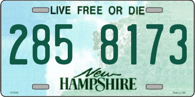 NH license plate 2858173