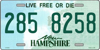 NH license plate 2858258