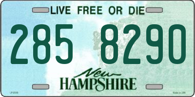 NH license plate 2858290