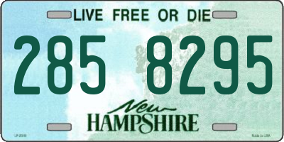 NH license plate 2858295