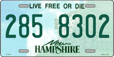 NH license plate 2858302