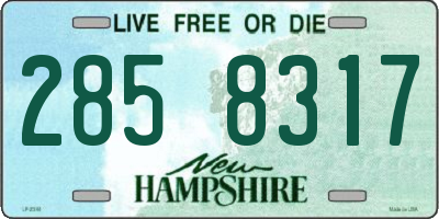 NH license plate 2858317