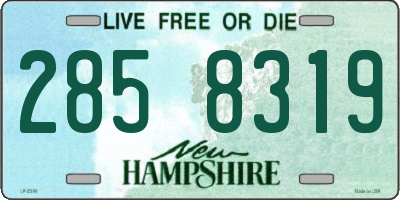 NH license plate 2858319