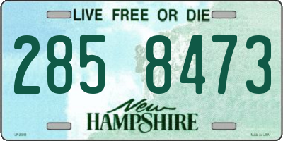 NH license plate 2858473