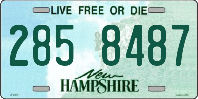 NH license plate 2858487