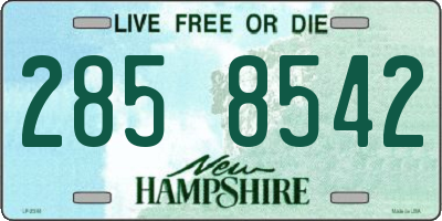 NH license plate 2858542
