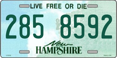 NH license plate 2858592