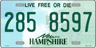 NH license plate 2858597