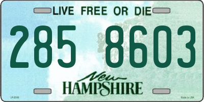 NH license plate 2858603
