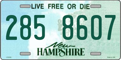 NH license plate 2858607