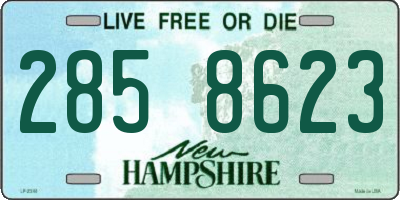 NH license plate 2858623