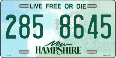 NH license plate 2858645