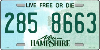 NH license plate 2858663