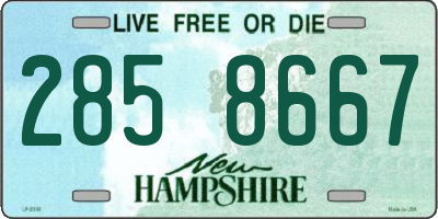 NH license plate 2858667