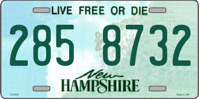 NH license plate 2858732