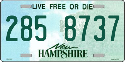 NH license plate 2858737