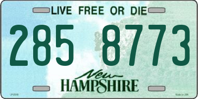 NH license plate 2858773