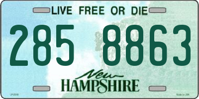 NH license plate 2858863