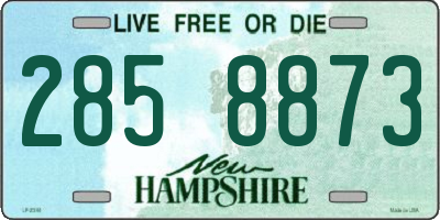 NH license plate 2858873