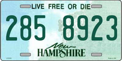 NH license plate 2858923