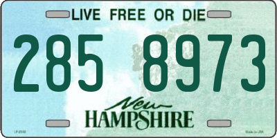 NH license plate 2858973