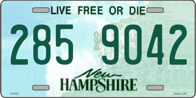 NH license plate 2859042
