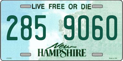 NH license plate 2859060