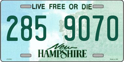 NH license plate 2859070