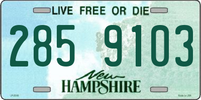 NH license plate 2859103