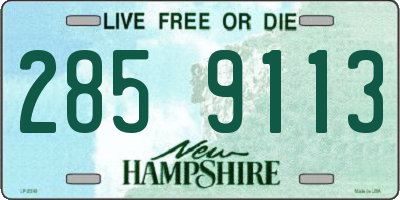 NH license plate 2859113