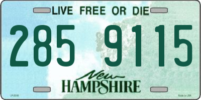 NH license plate 2859115
