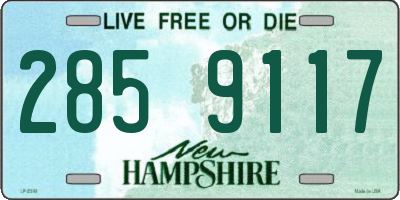 NH license plate 2859117