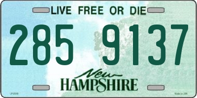 NH license plate 2859137