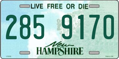 NH license plate 2859170