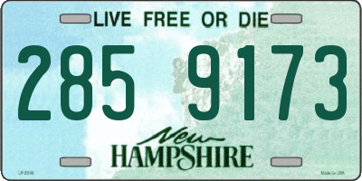 NH license plate 2859173