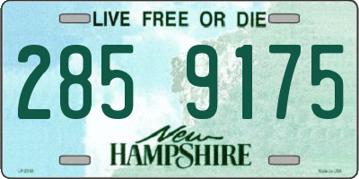 NH license plate 2859175