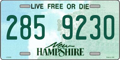 NH license plate 2859230