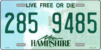 NH license plate 2859485