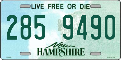 NH license plate 2859490