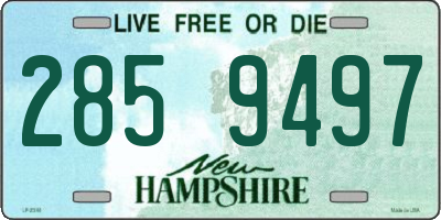 NH license plate 2859497