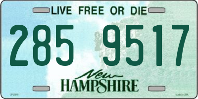 NH license plate 2859517