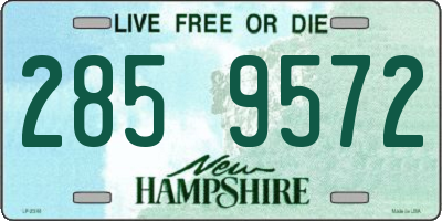 NH license plate 2859572