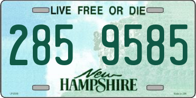 NH license plate 2859585