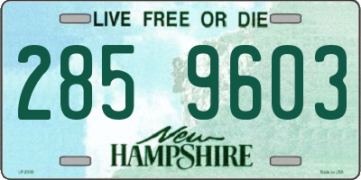 NH license plate 2859603