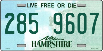 NH license plate 2859607