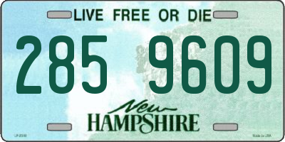 NH license plate 2859609