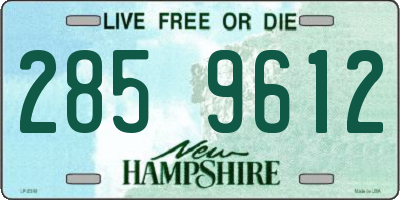 NH license plate 2859612