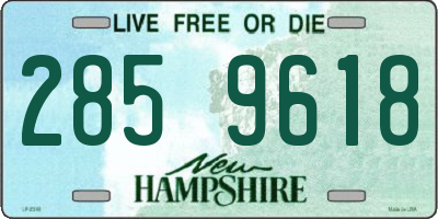 NH license plate 2859618