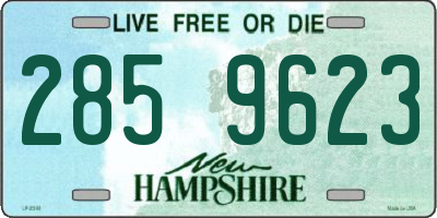 NH license plate 2859623