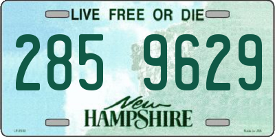 NH license plate 2859629
